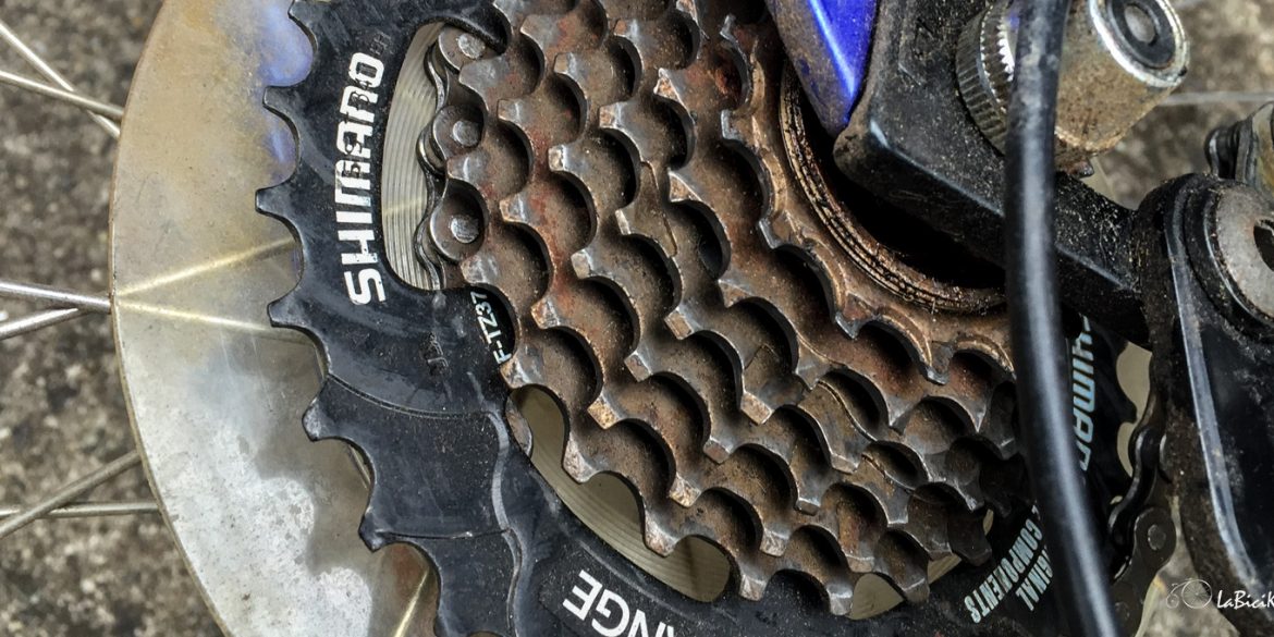 Cassette Shimano MegaRange