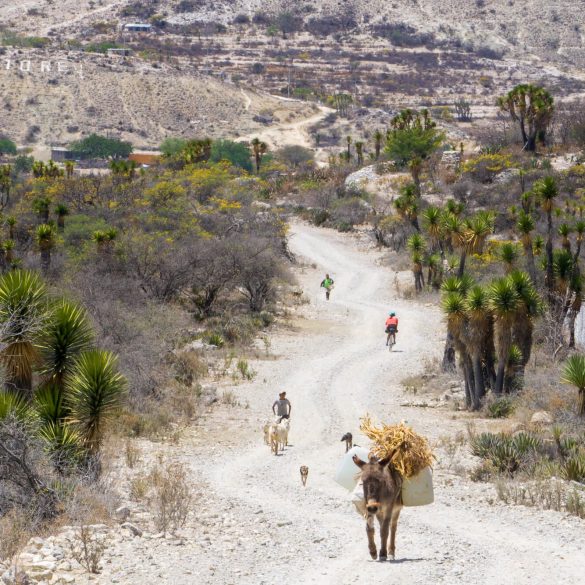 Camino gravel Los Ojos de Tehuacán Norte