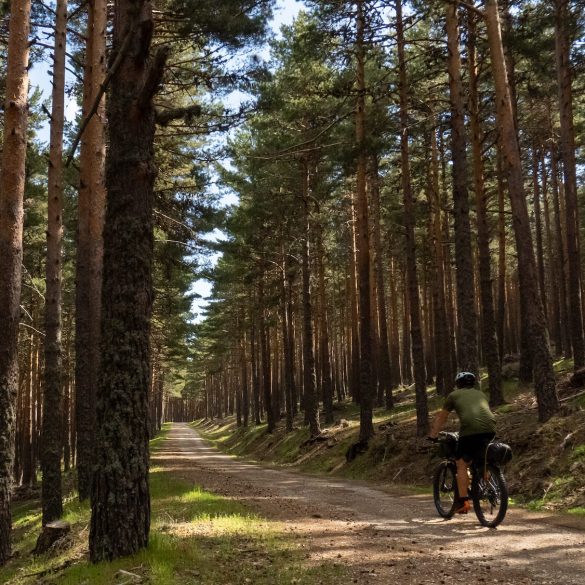 Ciclista en la Sierra de Madrid