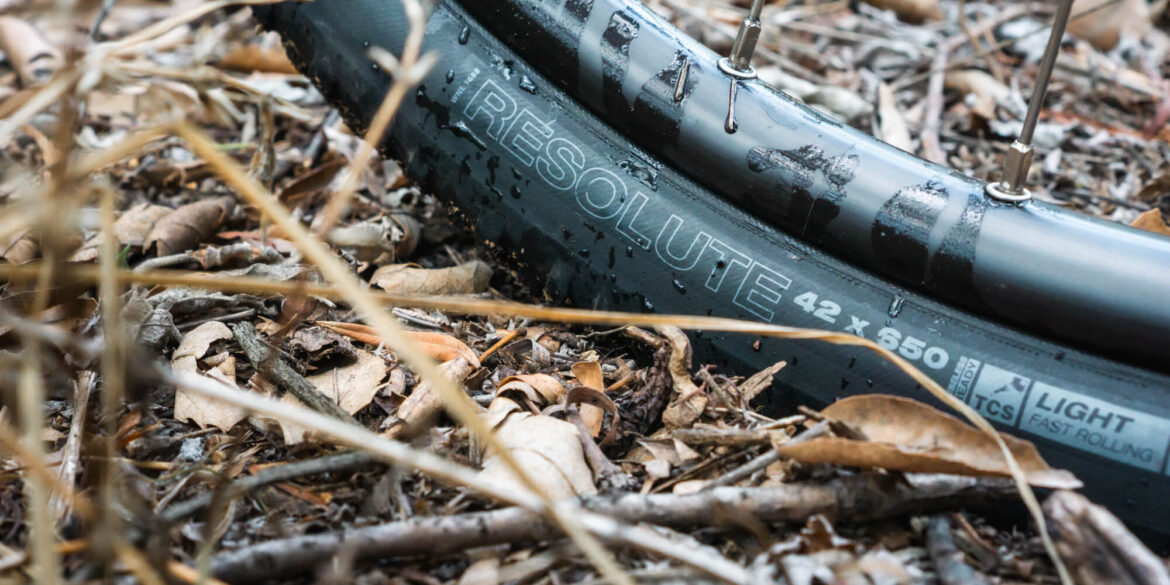 Cubiertas WTB Resolute 42 x 650