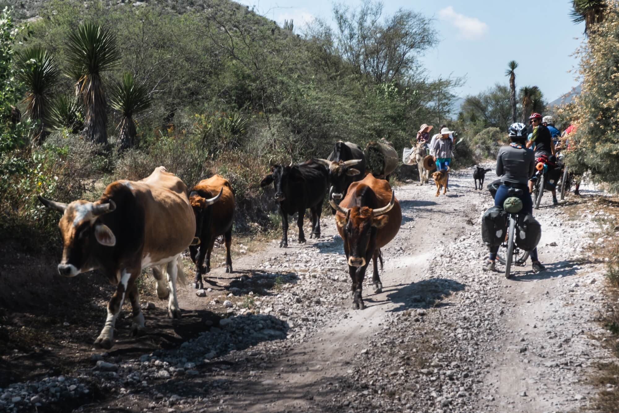 Ruta de bikepacking por Tehuacán