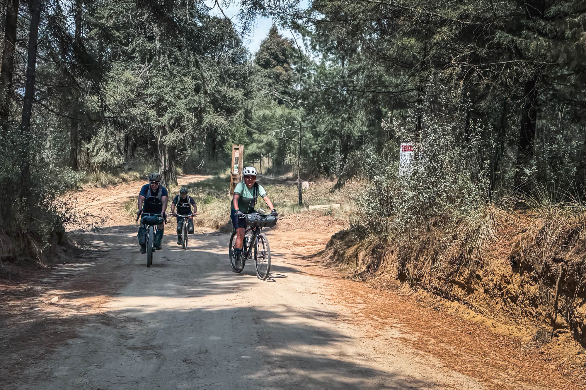 Entre pinos y omeyales - Monte Tláloc