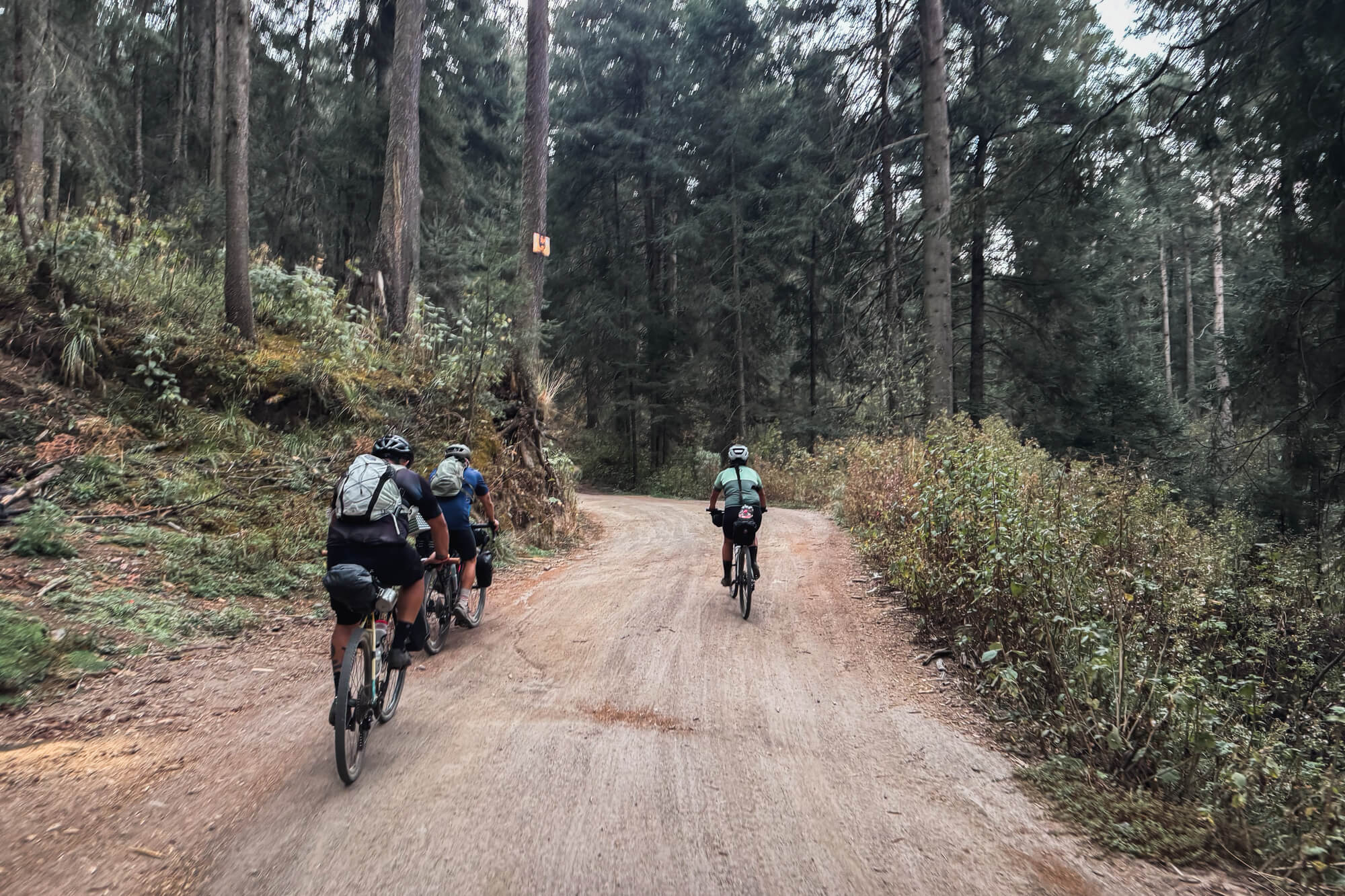 Camino a Canoas Altas - Monte Tláloc